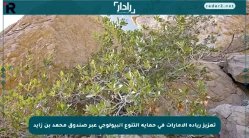 تعزيز ريادة الإمارات في حماية التنوع البيولوجي عبر صندوق محمد بن زايد